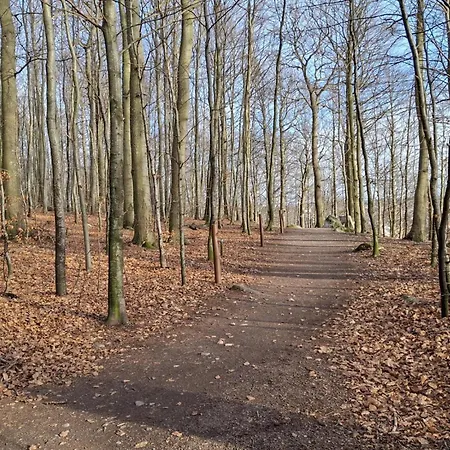 Apartamento 1 Bedroom Gorgeous In *