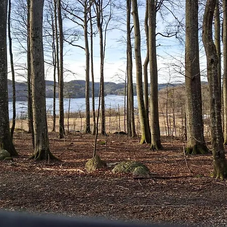 1 Bedroom Gorgeous In Apartment