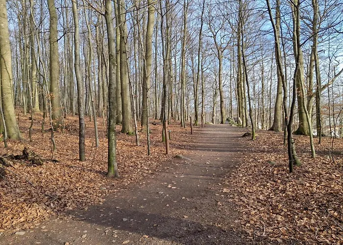 Leilighet 1 Bedroom Gorgeous In *